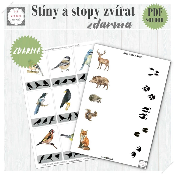 STOPY ZVÍŘAT a stíny ptáků  - pracovní list