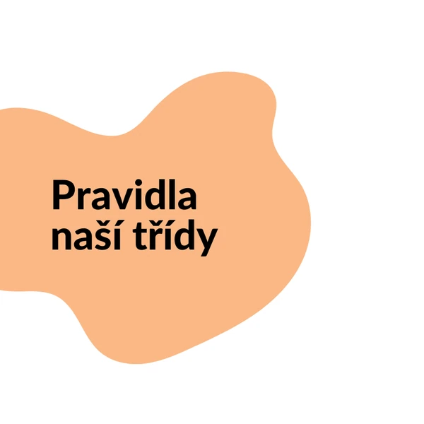 Pravidla třídy