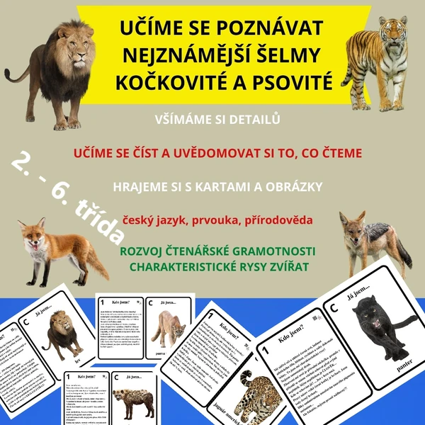 Učíme se poznávat a popisovat nejznámější šelmy kočkovité a psovité - činnost dětí mimo lavice, skupinková aktivita