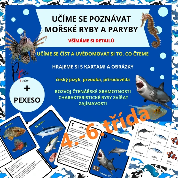 UČÍME SE POZNÁVAT MOŘSKÉ RYBY A PARYBY - aktivita mimo lavice, skupinková práce