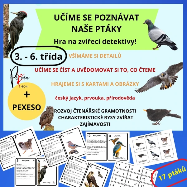 UČÍME SE POZNÁVAT NAŠE PTÁKY - aktivita mimo lavice - hra na zvířecí detektivy