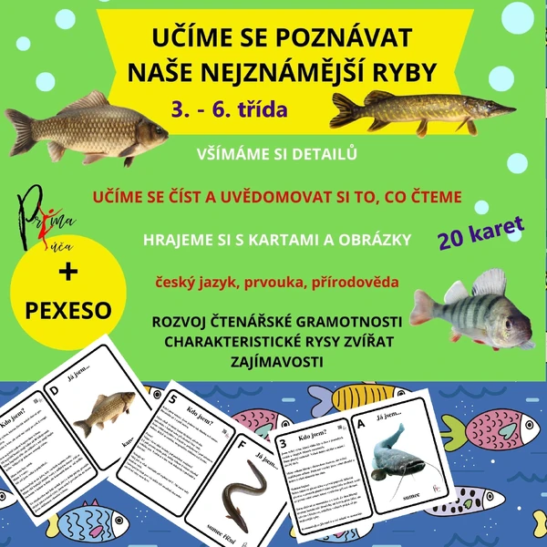 UČÍME SE POZNÁVAT NAŠE NEJZNÁMĚJŠÍ RYBY - aktivity mimo lavice, pexeso