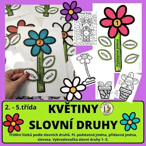 SLOVNÍ DRUHY - KVĚTINY.