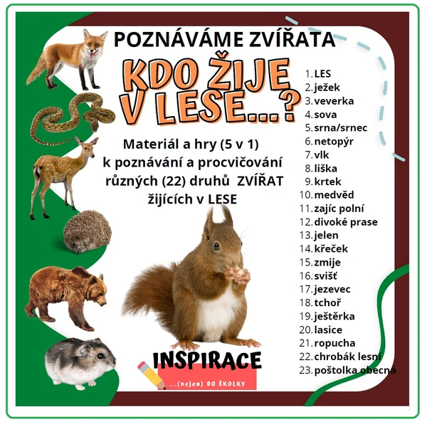 Zvířata z našeho lesa