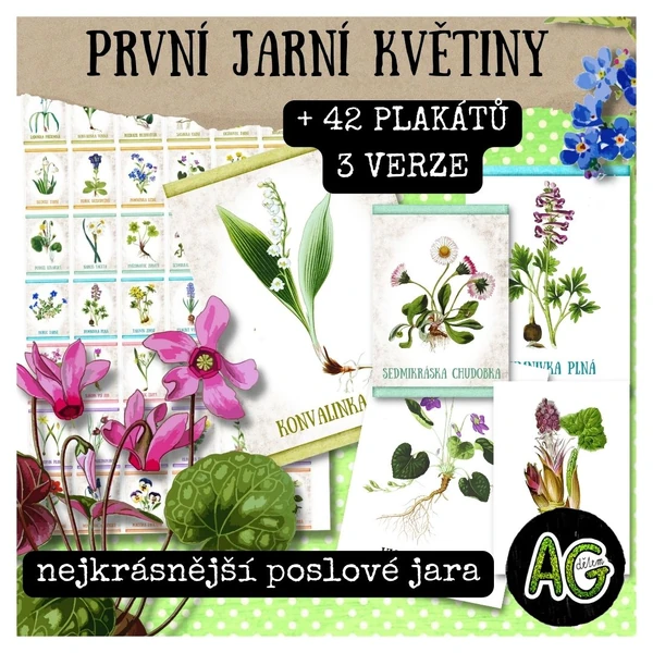 PRVNÍ JARNÍ KVĚTINY - brožura, 42 PLAKÁTŮ, 3 VERZE PRO TISK