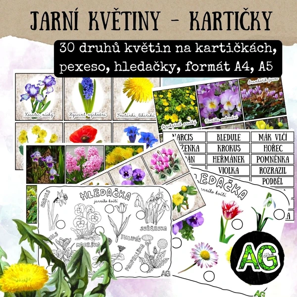JARNÍ KVĚTINY - KARTIČKY, PEXESO, HLEDAČKY, PŘIŘAZOVÁNÍ