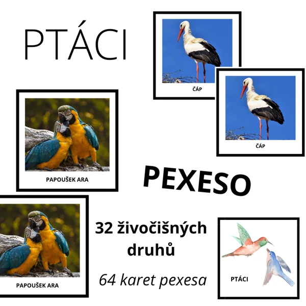 PEXESO - ptáci (32 druhů)