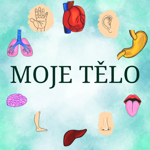 Moje tělo
