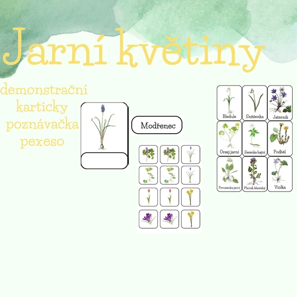 Jarní květiny