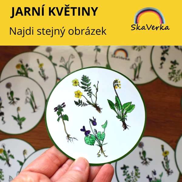 Najdi stejný obrázek - JARNÍ KVĚTINY