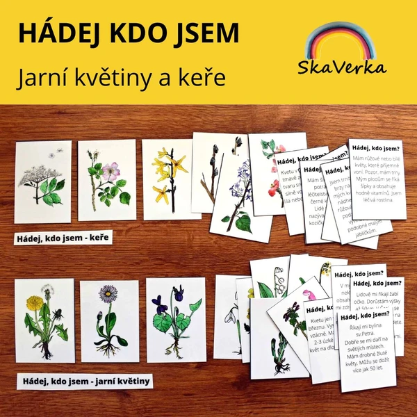 HÁDEJ KDO JSEM - jarní květiny a keře