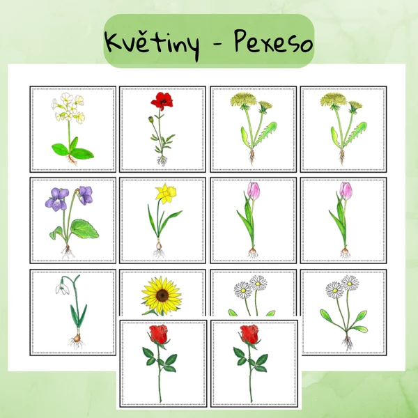 Květiny - Pexeso