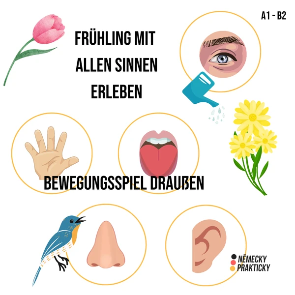Frühling mit allen Sinnen erleben A1 - B2 Bewegungsspiel draußen