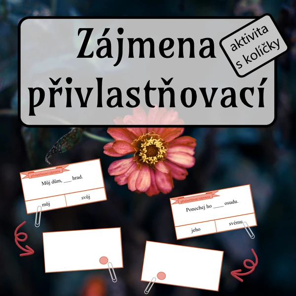 Přivlastňovací zájmena - aktivita s kolíčky