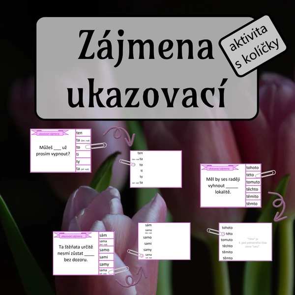 Ukazovací zájmena - aktivita s kolíčky