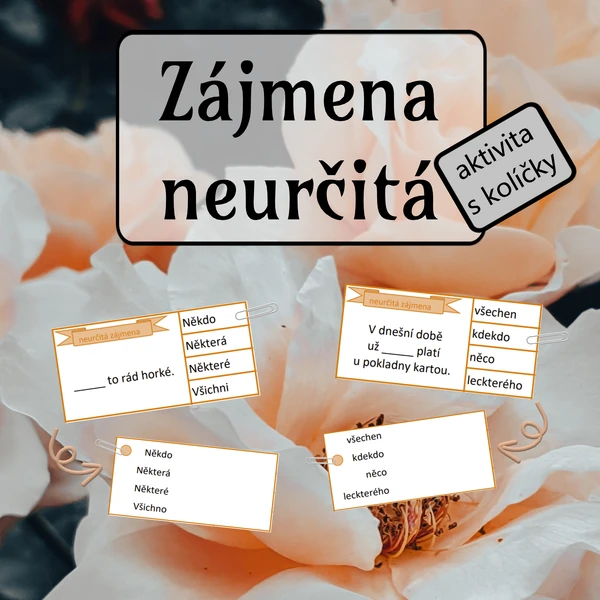 Neurčitá zájmena - aktivita s kolíčky