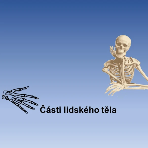 Části lidského těla.