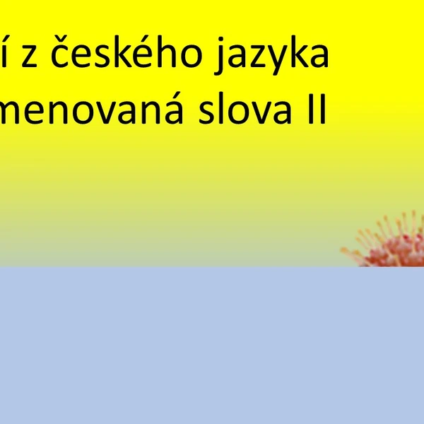 cvičení z českého jazyka na vyjmenovaná slova II