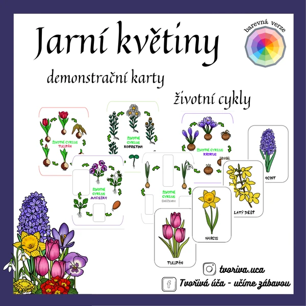 Jarní květiny 