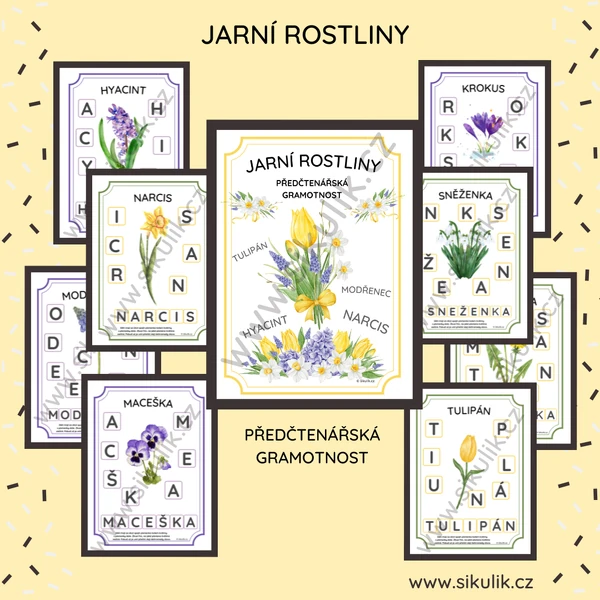 JARNÍ ROSTLINY předčtenářská gramotnost