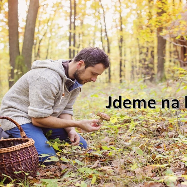 Jdeme na houby.