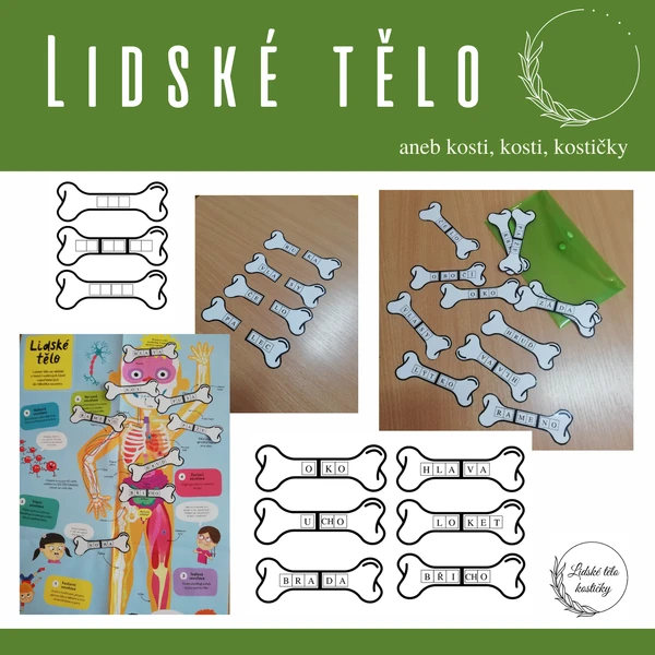 Lidské tělo aneb kostičky (části těla)