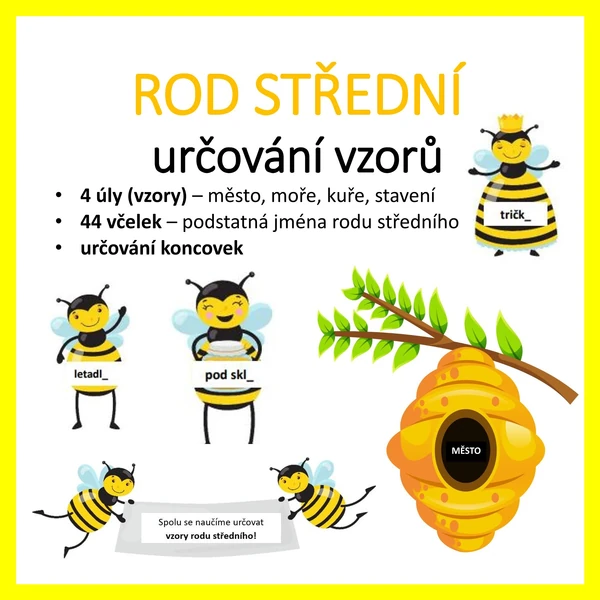Rod STŘEDNÍ - určování vzorů