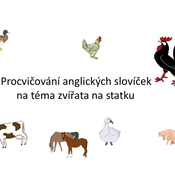 Procvičování anglických slovíček na téma - zvířata na statku