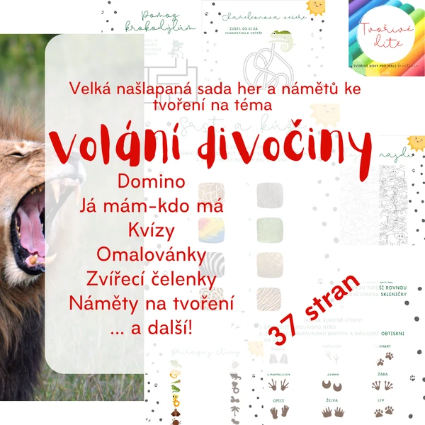 Volání divočiny - Velká sada her, kvízů a námětů ke tvoření
