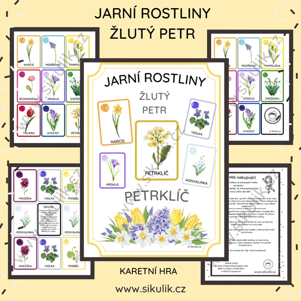 JARNÍ ROSTLINY ŽLUTÝ PETR