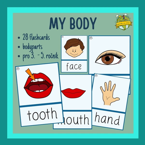 My body (bodyparts) flashcards