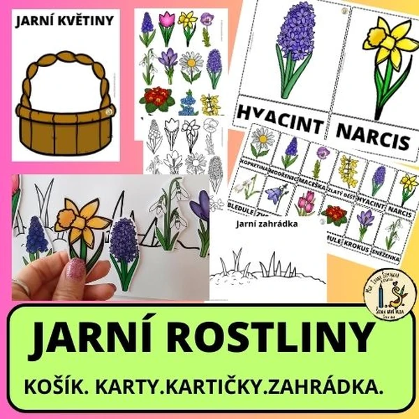 Jarní rostliny - karty, kartičky, košík, zahrádky.