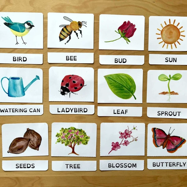 Třísložkové karty SPRING