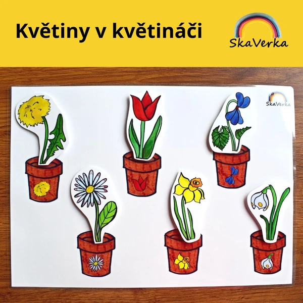 Květiny v květináči