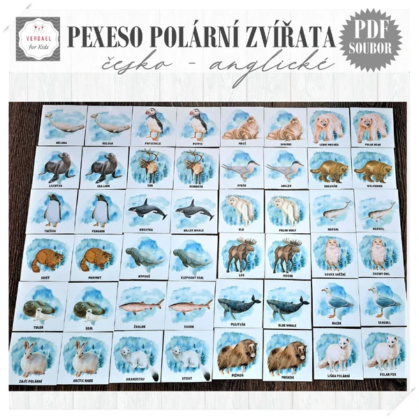 PEXESO POLÁRNÍ ZVÍŘATA