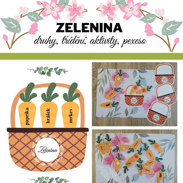 Zelenina aneb "mrkvičky" (druhy, třídění, aktivity)