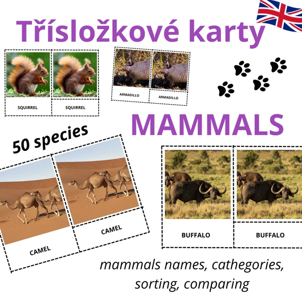 MAMMALS - anglické třísložkové karty