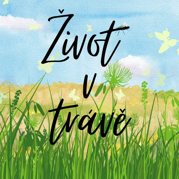 Život v trávě