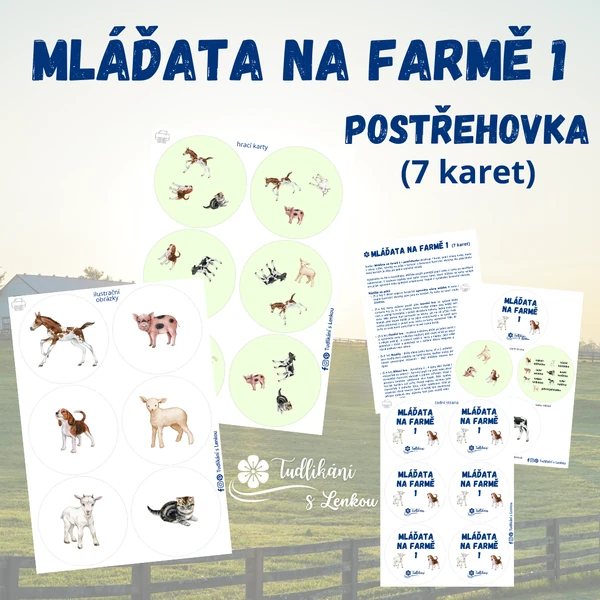 Mláďata na farmě 1 - postřehovka