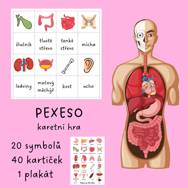 Pexeso