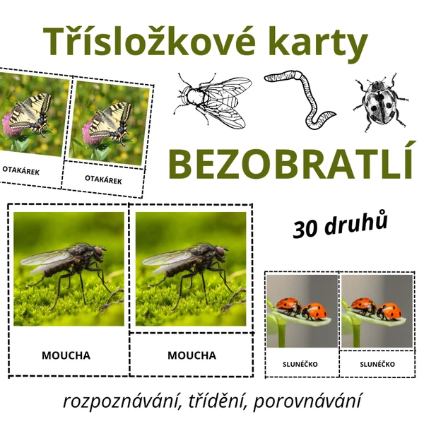 Třísložkové karty - BEZOBRATLÍ (30 druhů)