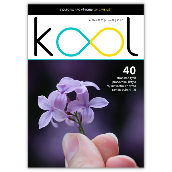 KOOL 05/2023