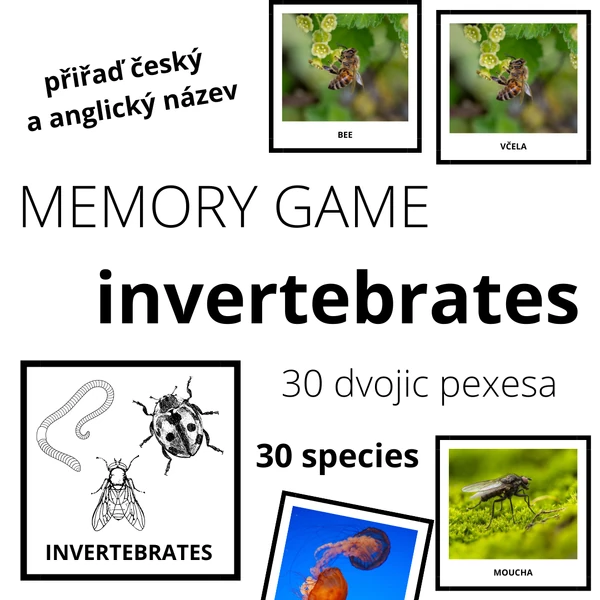 INVERTEBRATES - memory game (30 species)