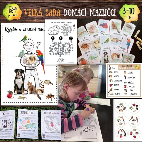 Velká sada domácí mazlíčci