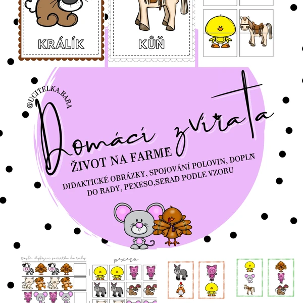Soubor aktivit “Domácí zvířata”
