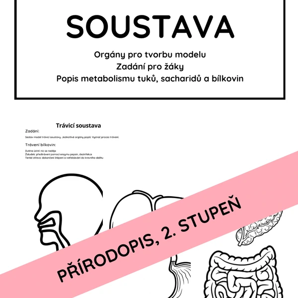 Trávicí soustava a metabolismus - tvorba modelu