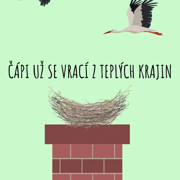 Čáp už se vrací z teplých krajin