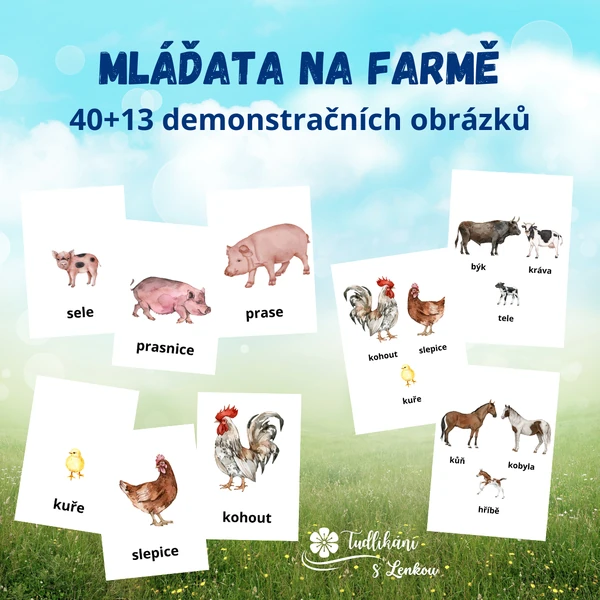 Mláďata na farmě - demonstračních 40 + 13 obrázků