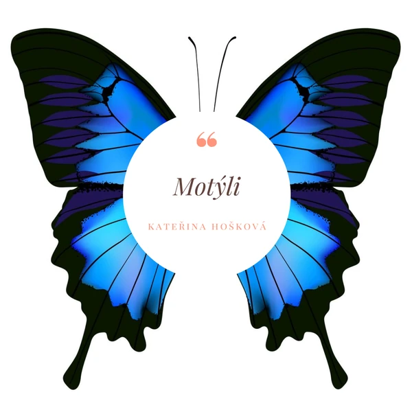 Motýli - výukový materiál 