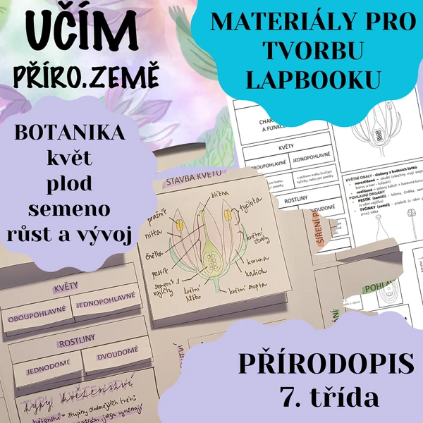 Lapbook - květ, plod, semeno, růst a vývoj rostlin